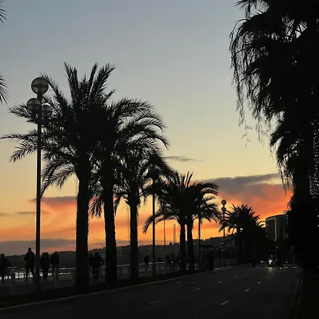 Cozy Near Promenade Apartment *